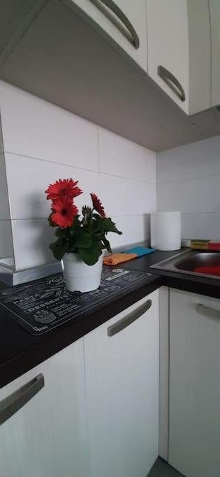 Gold Key Apartments, Durres Beach 외부 사진